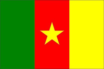 Cameroon_flag.jpg